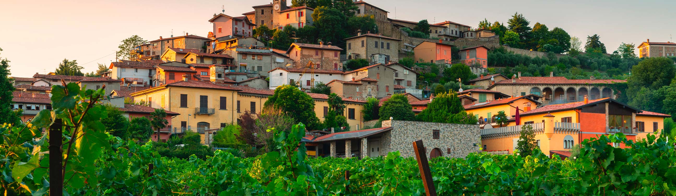 Benvenut@ in Pota