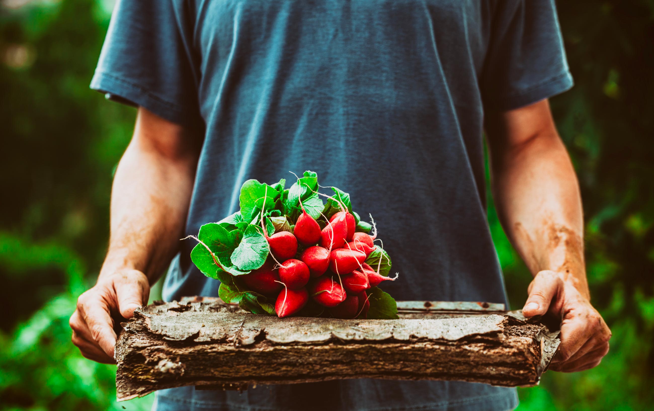 I frutti delle terre bresciane I frutti delle terre bresciane