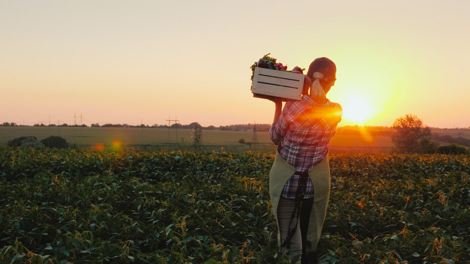 Agricoltore con in mano una cassetta dei frutti delle terre bresciane